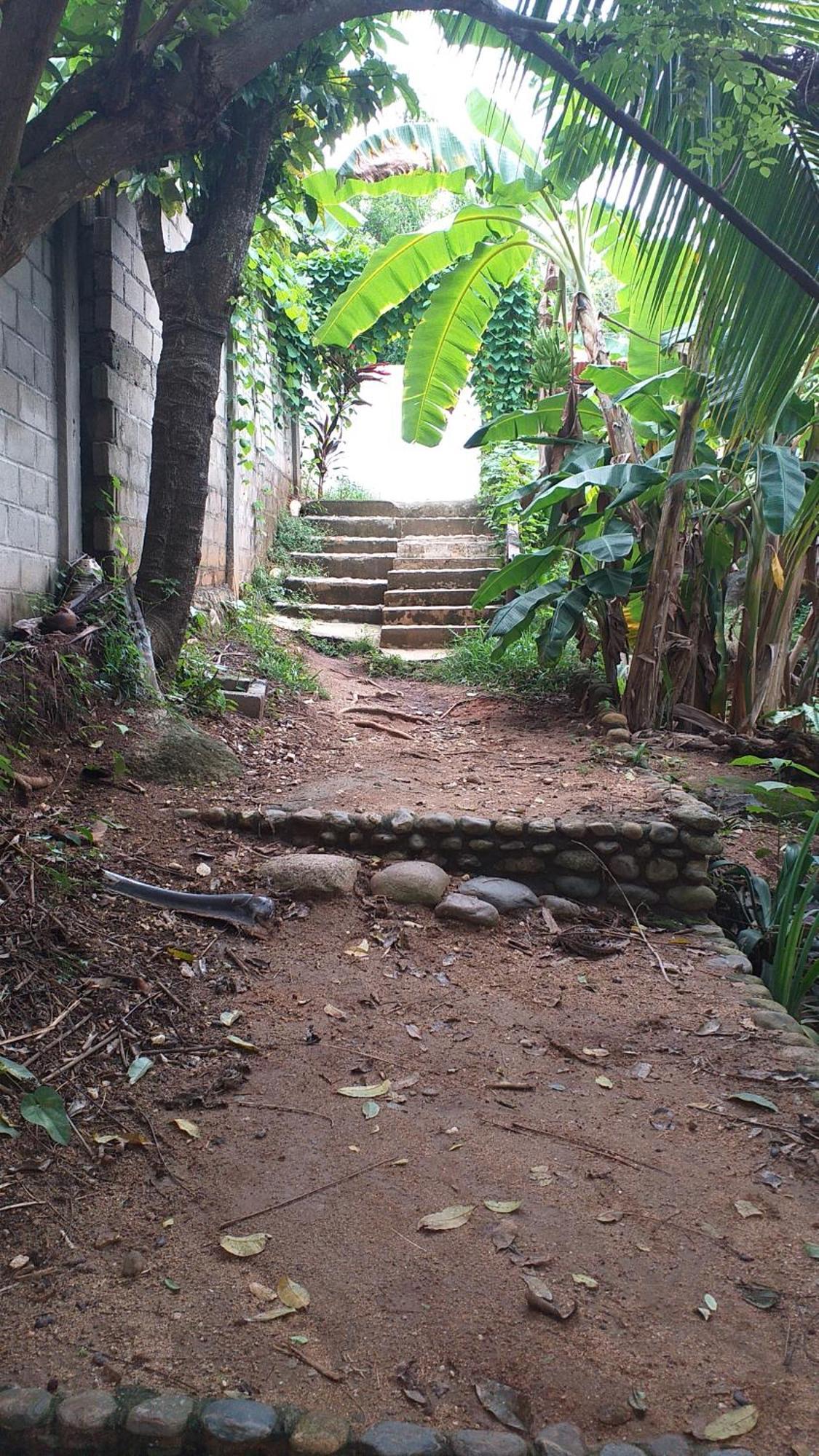 Sierra Tayrona Hostel El Zaino Exteriör bild
