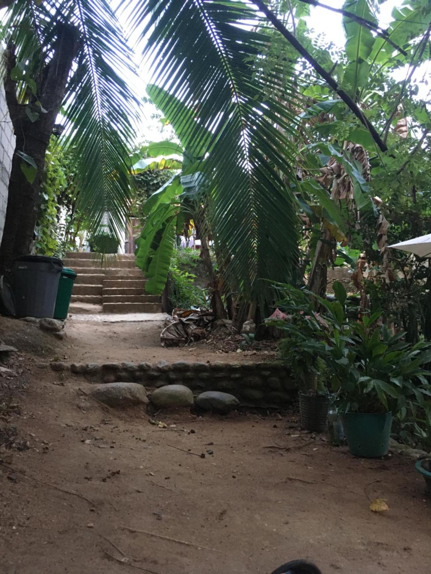 Sierra Tayrona Hostel El Zaino Exteriör bild